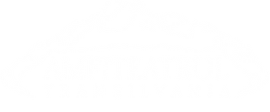 Amfiteatrul Transilvania